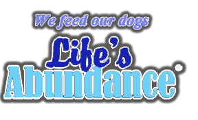 We feed our Labradors Life's Abundance